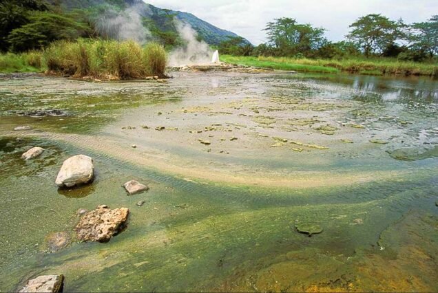 5-Day Chimpanzees, Cultural, Hot Springs & Wildlife Tour