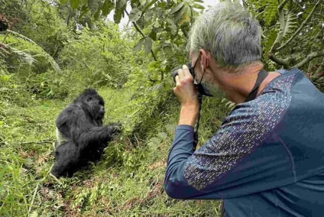 4-Day Mountain Gorilla and Golden Monkey Safari Experience