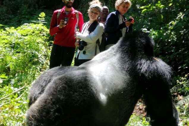 7-Day Rwanda Uganda Gorilla Trekking & Wildlite Tour